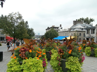 2014-08-31 13:00