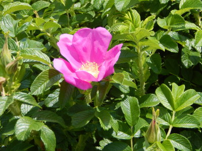 g9/91/729991/3/160502110.WmxflKPg.jpg