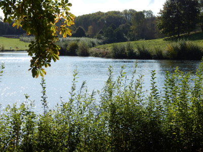 DSCN2108.JPG