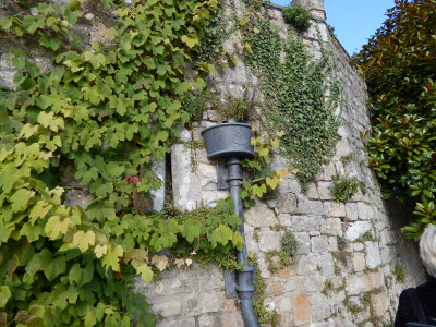 DSCN2122.JPG
