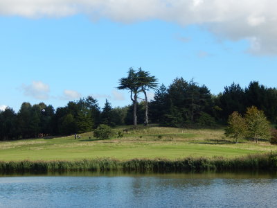 DSCN2125.JPG