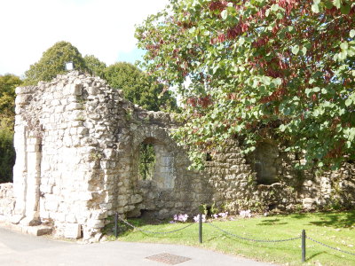 DSCN2206.JPG