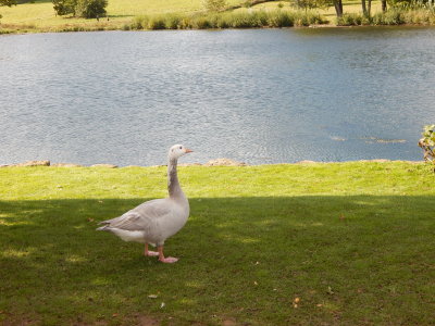 DSCN2217.JPG