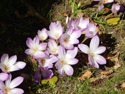 DSCN2219.JPG