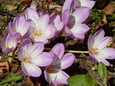 DSCN2220.JPG