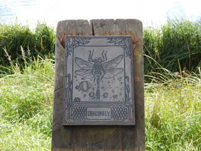 DSCN2234.JPG