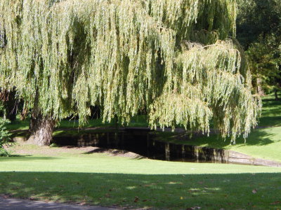 DSCN2237.JPG