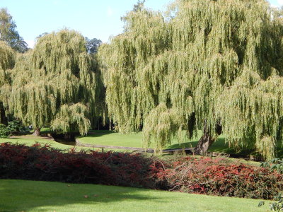 DSCN2239.JPG