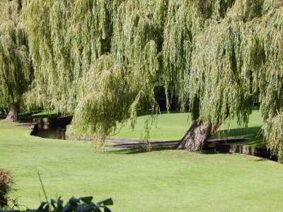 DSCN2242.JPG