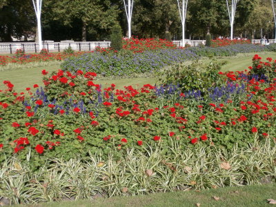 P9200177.JPG