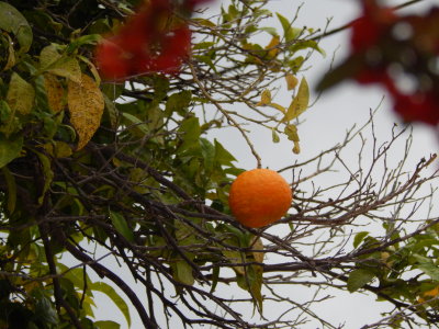 DSCN1039.JPG