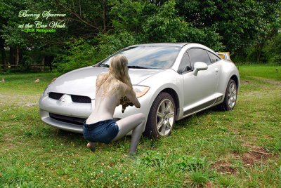 WASHING THE SILVER CAR BUNNY EMAIL.jpg