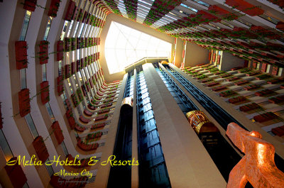 MEXICO CITY MELIA HOTEL CENTER OF VERTICAL GLASS ROOF 2  EMAIL.jpg