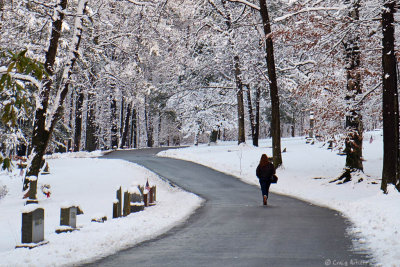 Valley Forge National Park - Winter