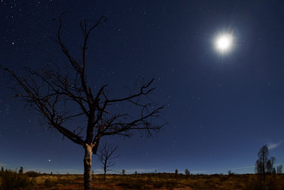 Ayers Rock