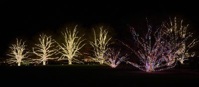 Christmas at Longwood Gardens