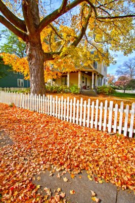 Fall in Minnesota