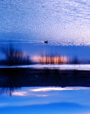 quiet evening