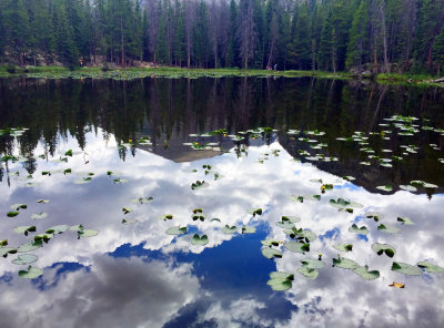 Rocky mountain national park