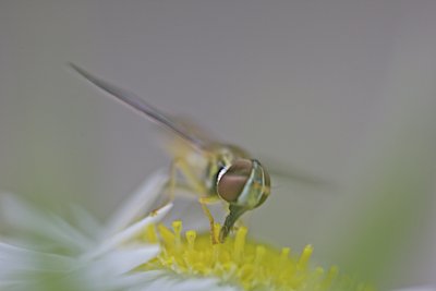 IMG_7320.jpg