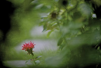 IMG_7707.jpg