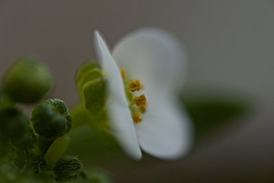 IMG_3070.jpg