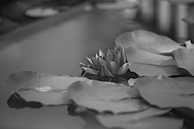 IMG_2924 - Version 2.jpg