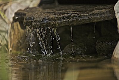 IMG_2946.jpg