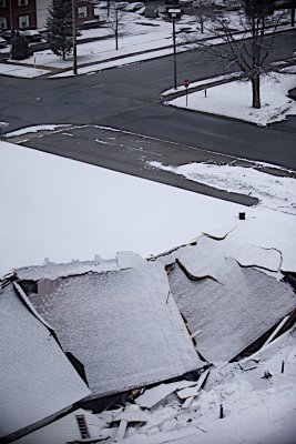 IMG_8904.jpg