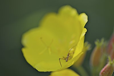 IMG_0354.jpg