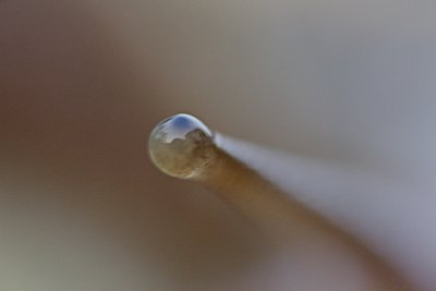 IMG_0876.jpg