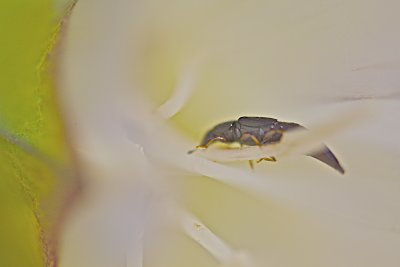 IMG_0713.jpg
