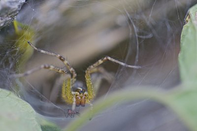 IMG_1256.jpg