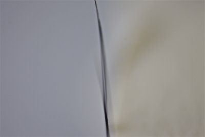IMG_2781.jpg