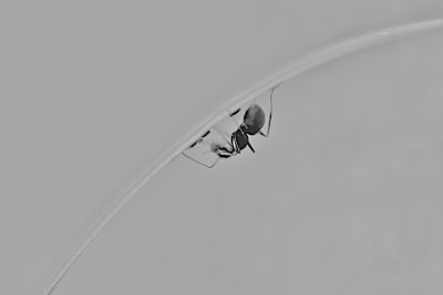IMG_1241 - Version 4.jpg