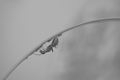 IMG_1244 - Version 4.jpg
