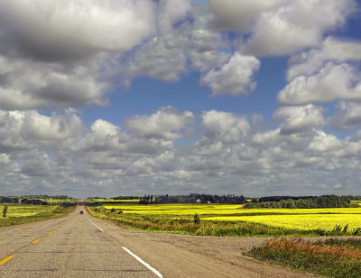 Field and Sky