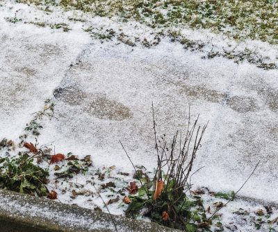Beginning of Winter