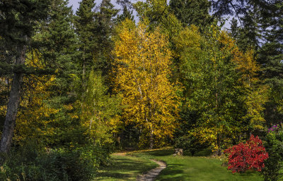Woodsy Trail