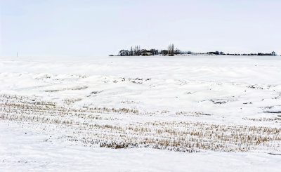 Snowy Field 
