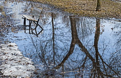 Bench and Reflections