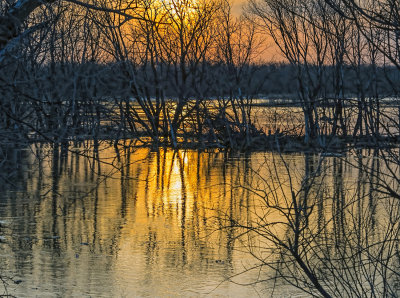 Reflections in Late Sun