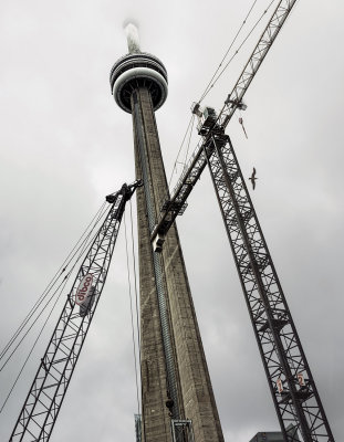 CN tower and Cranes