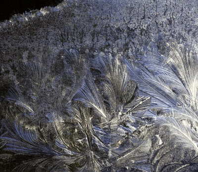 Frost Art