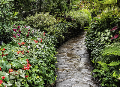 Allan Gardens Conservatory in Toronto, Ontario