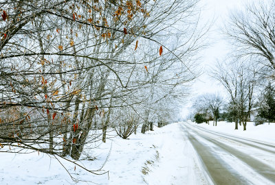 Snowy Afternoon