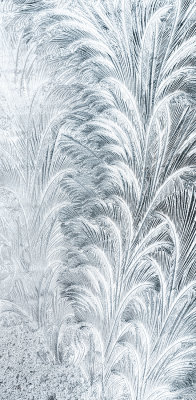 Ice Design