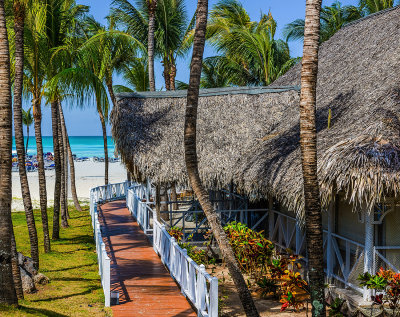 Beach Bar