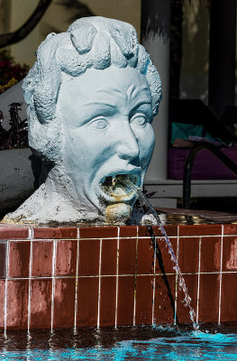 Spewing Head by Pool