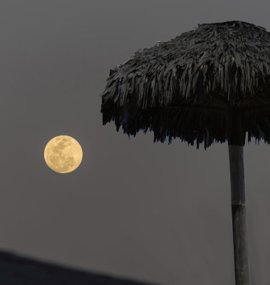 Full Moon and Palapa